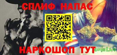 мяу мяу мука Кандалакша