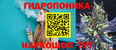 сатива Камышлов