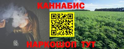 сатива Камышлов
