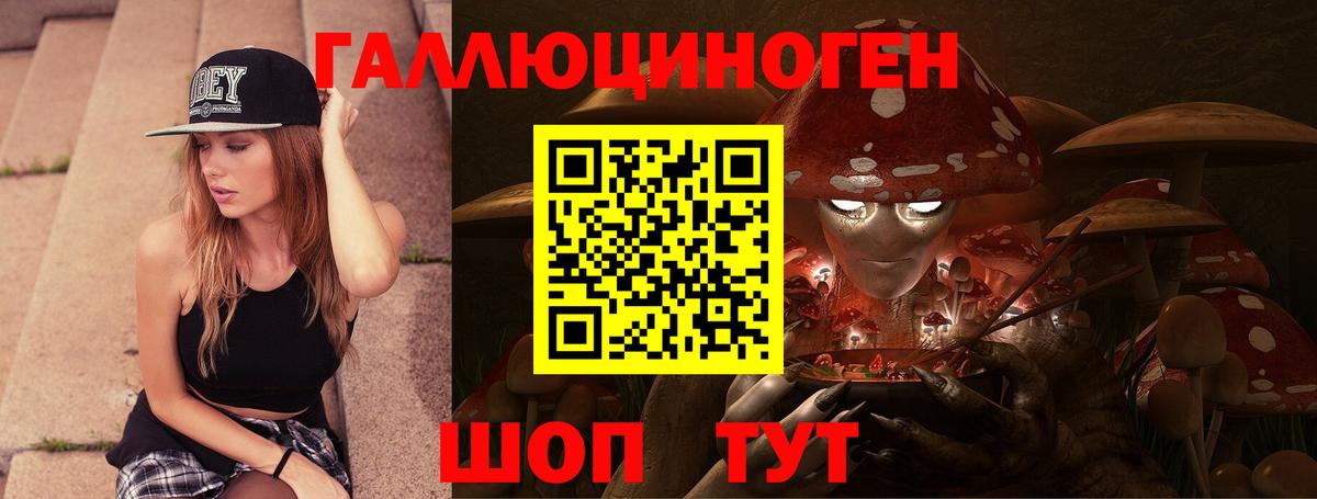 Псилоцибиновые грибы Psilocybe Лесозаводск